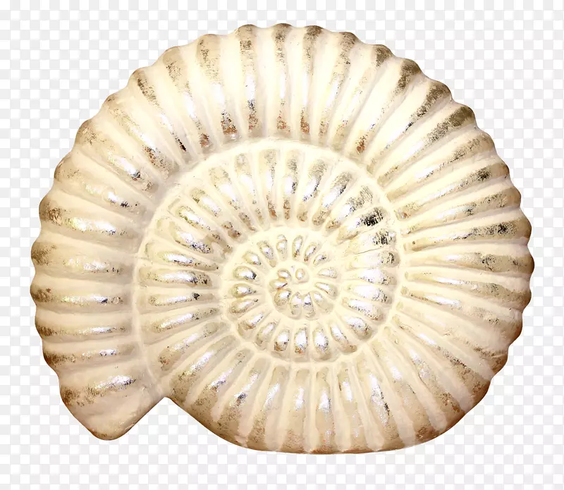 ���������ɹ���Ӱ.����ͼ��-������