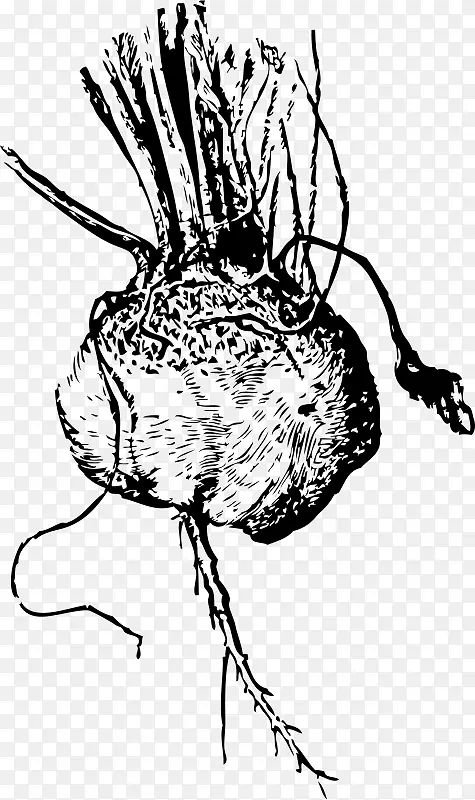 ���԰������-�߲�-������