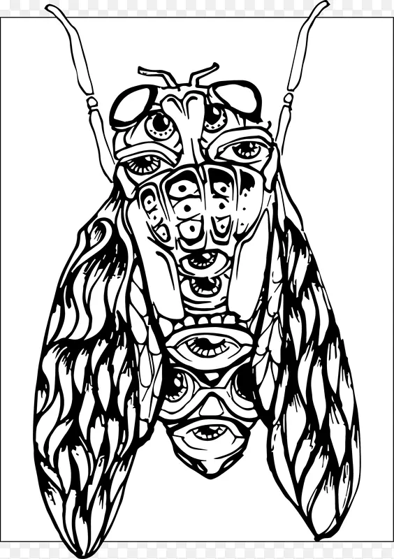 �����������������-������