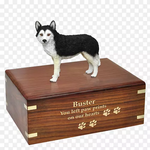 ��������Ȯ���������ǹ�ʿ��-��ʿ��Ȯ-������