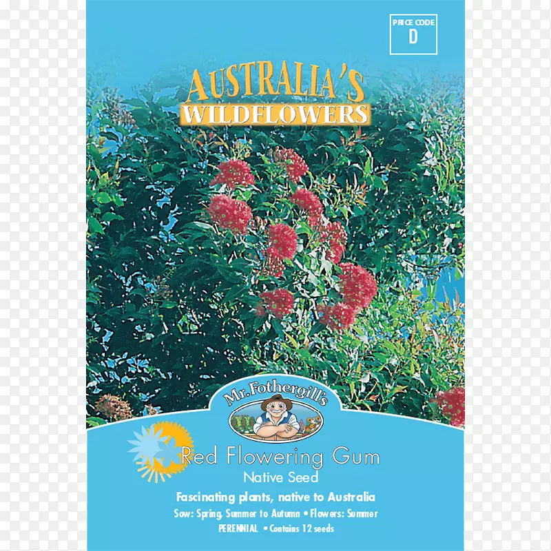 ���������ݱ�ֲ�������-������