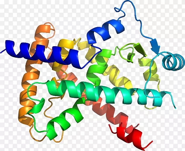 �ߵ������������-������