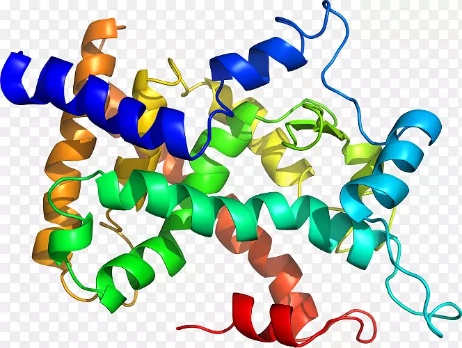 �ߵ������������-������