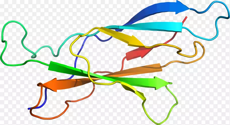 �ߵ������-��-������