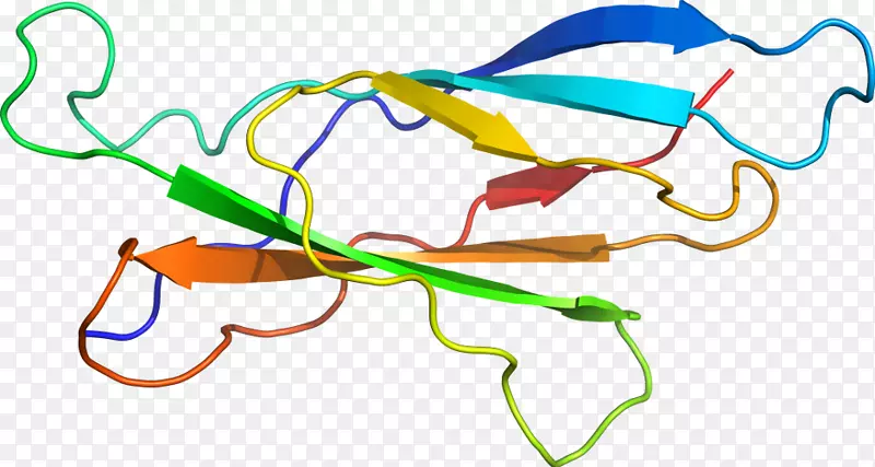 �ߵ������-��-������