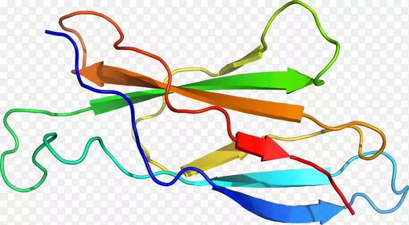 �ߵ������-��-������