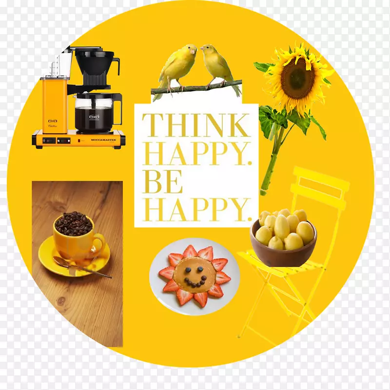 ���Ȼ�����Moccamaster kbg 741 ao��ɫ����-������