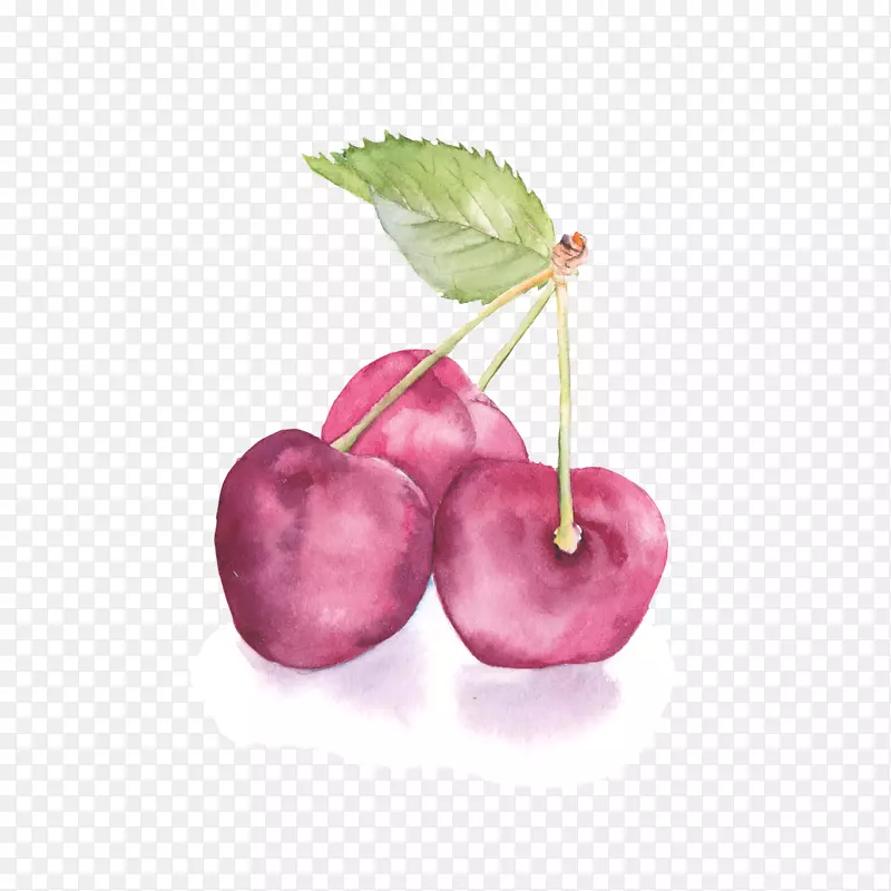 ˮ�ʻ�������ˮ�ʻ�-ӣ��-������