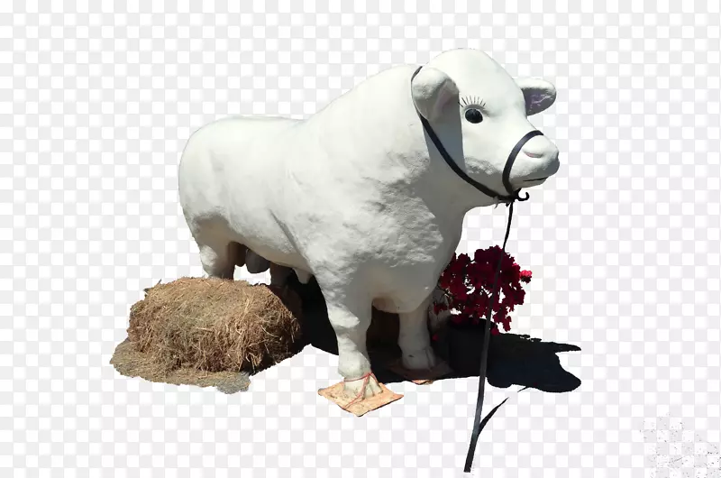 ��ţ��ë�޶���ɰ�����ߣ�����-��-������