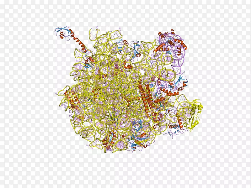 �����鱦��-������