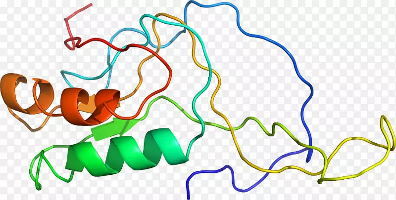 �ߵ������������-������