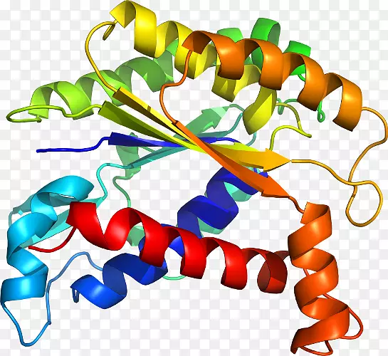 �����߶����������-������