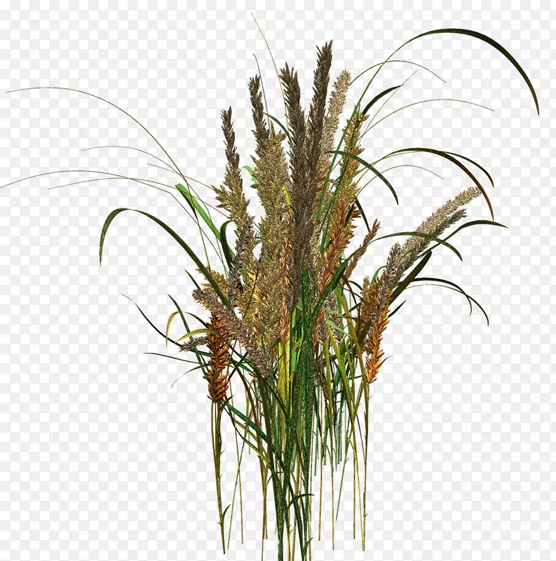 ��ݻ����-��-������