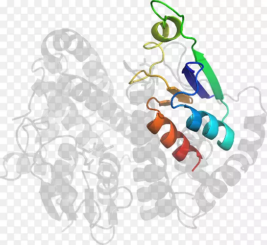 ��ָЬ���������-������