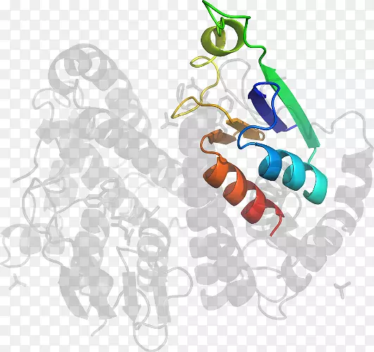 ʥ��װ�μ�����-ʥ����-������