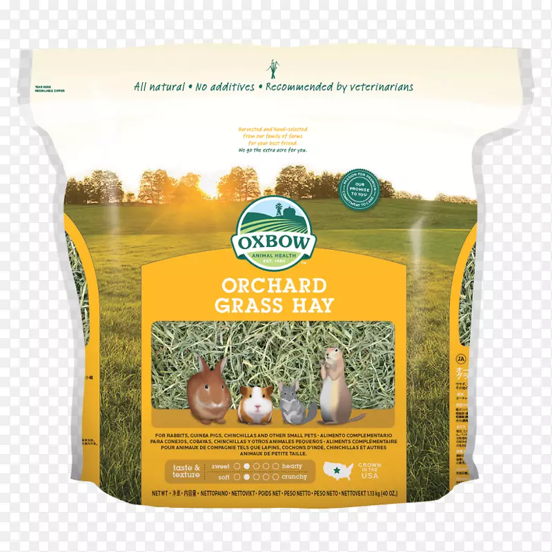 ��è�ݹ�԰-������