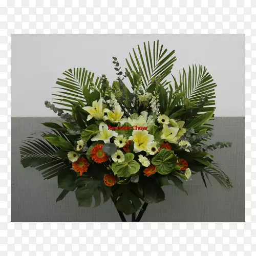 ������ƻ����˹���������ֲ�ﻨ��-������