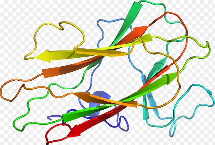 ֱ�ߵ�ֲ�ﾥ��������-������