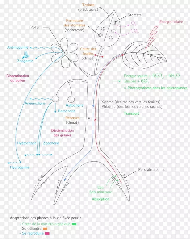 ͼ��-������