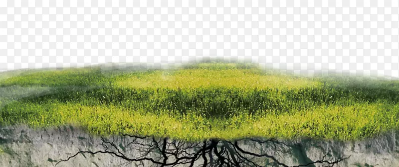 ����-���ٲ�-������