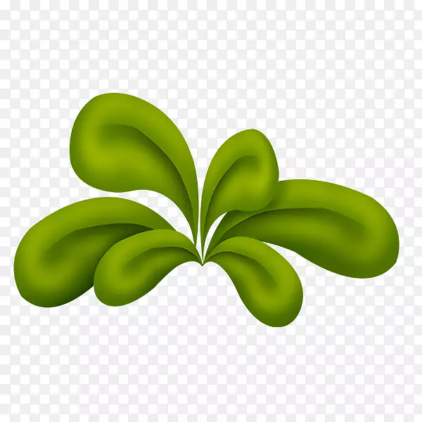 ����-С��-������