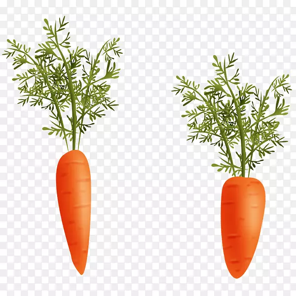 ��ȻʳƷ����ݱ�ֲ�ﱾ��ʳƷ-ɽ����-������