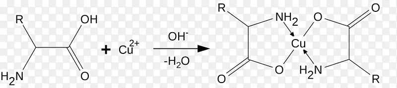 ��׽ǵ㰱����-������