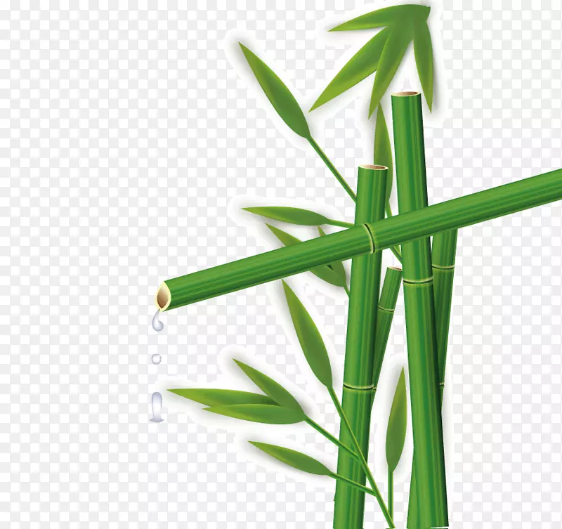 �ȴ�ľ����-����-������