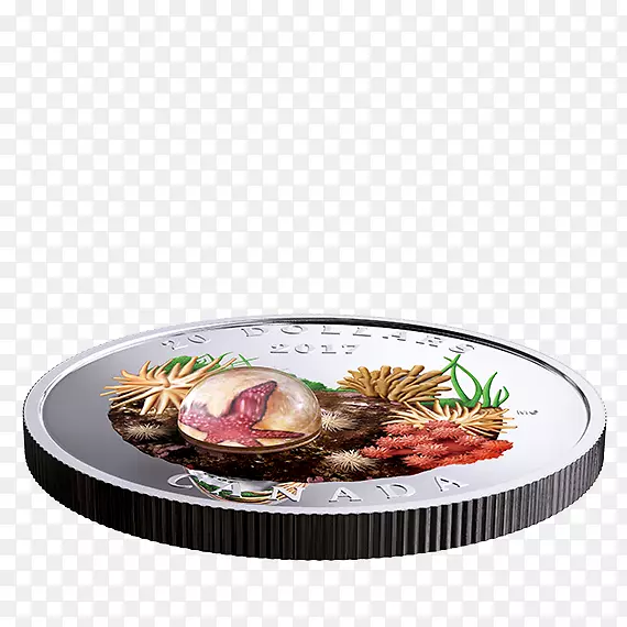 �����տ����䷽-����-������