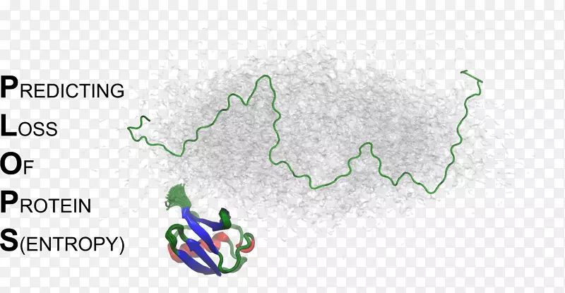 �̱���������-������