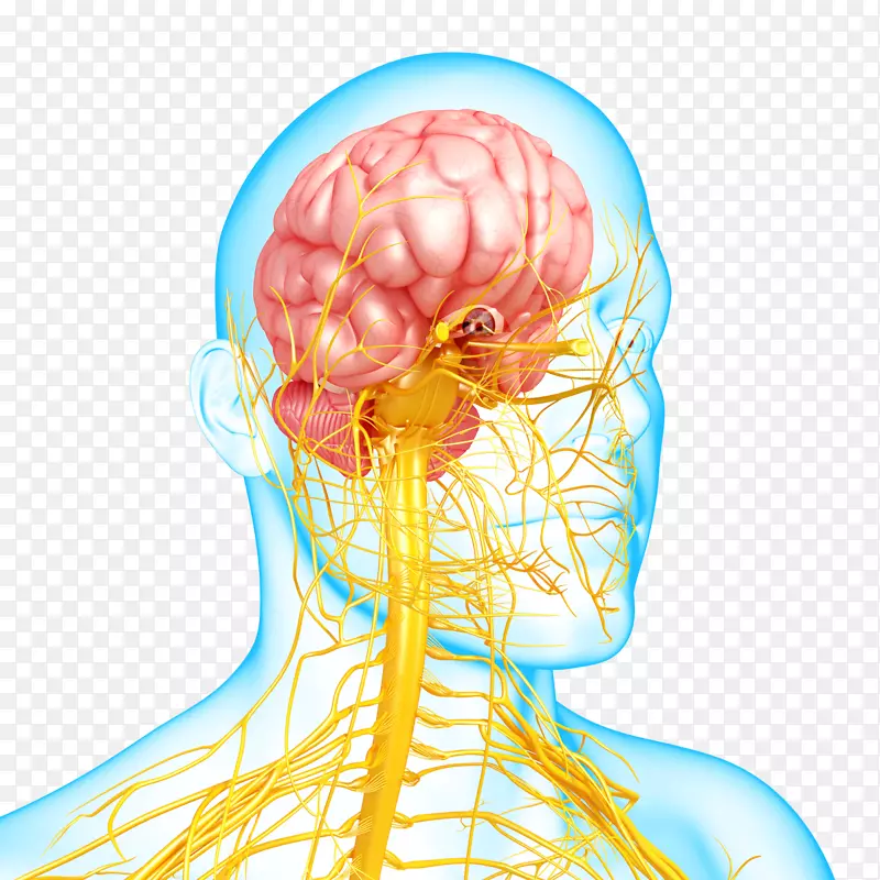 ��ϵͳ���������ϰ�������ϵͳ-����-������