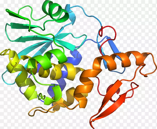 �����߶����������-������