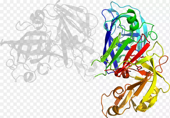 ƽ����������������-������