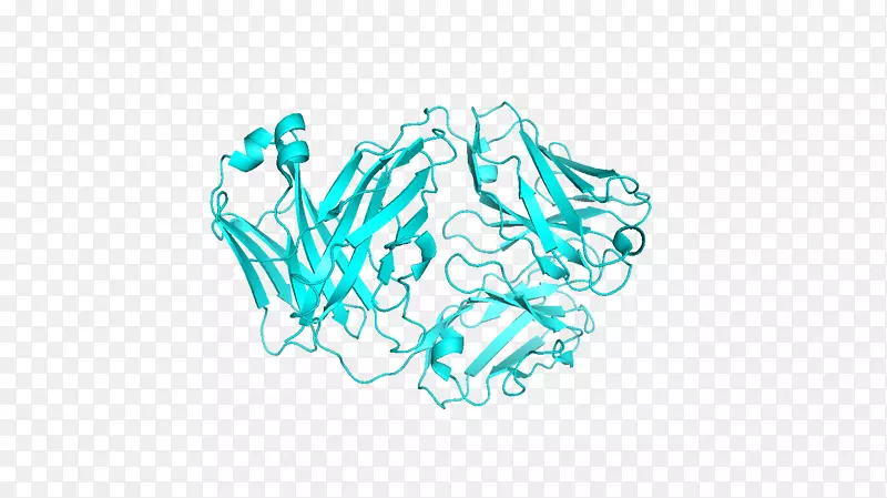 �̱������ֽ�������-������