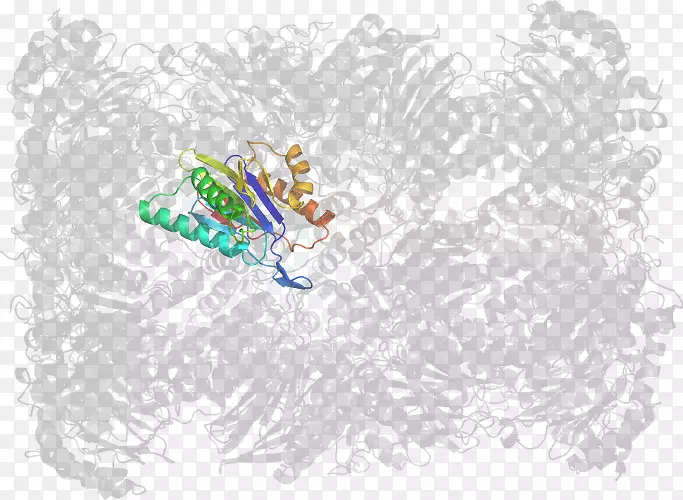 ƽ������������ֽ��-������