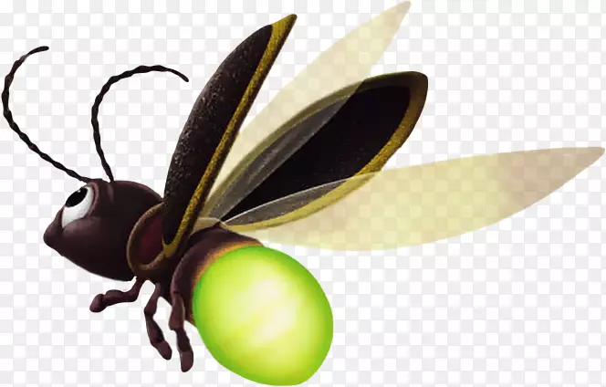 �����������������-����-������