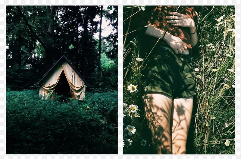 ��Ӱ��ͨ����������Ӱ-������