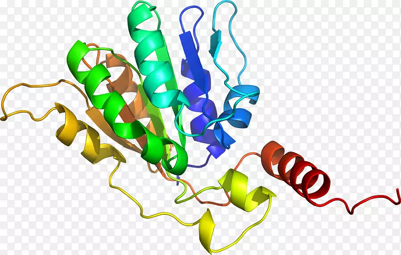 �߲��л���ϵ�м�����-�߲�-������