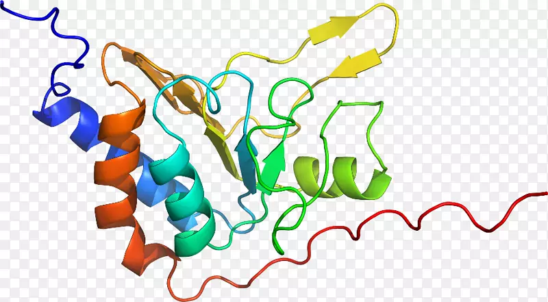 �ߵ������������-������