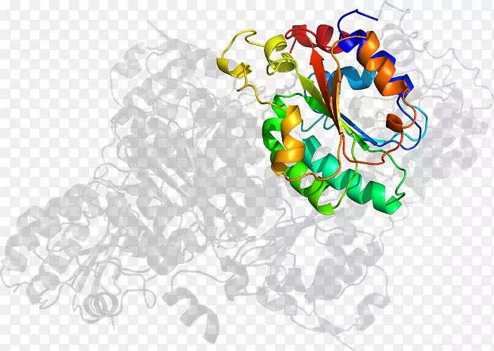 ʳƷ����ϵ�м�����ϵ��-������