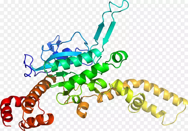 ���������л����߼�������-������