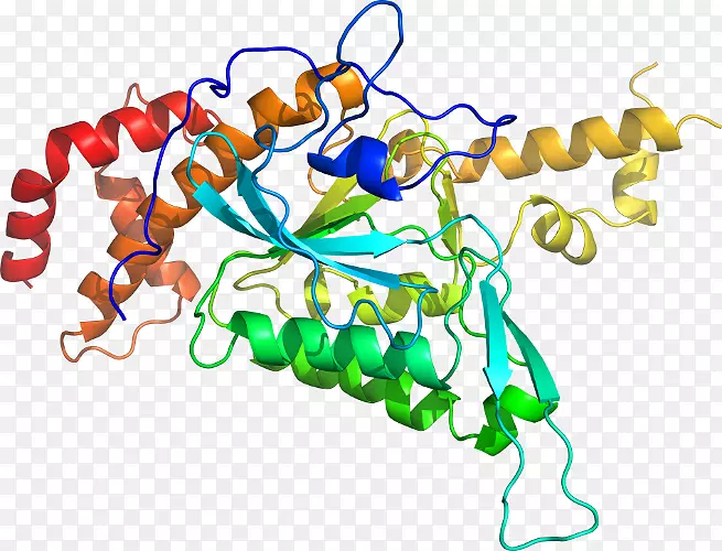 ���������л����߼�������-������