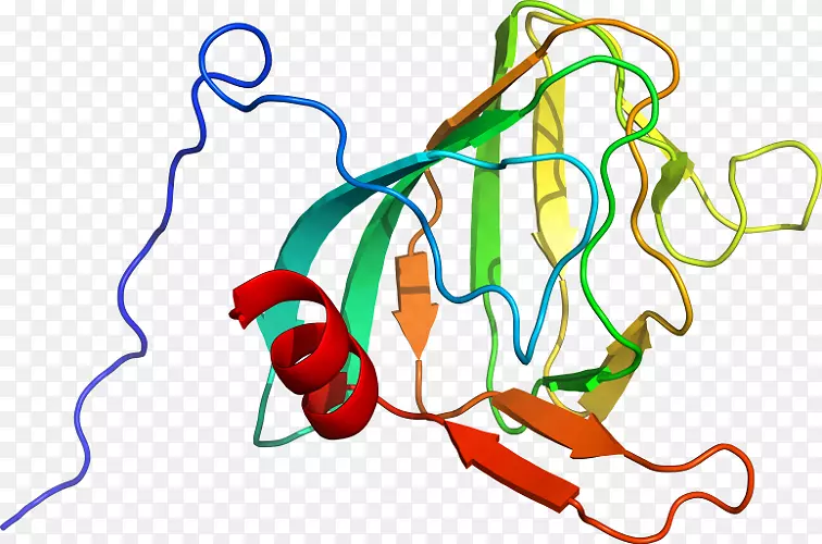 �ߵ������-��-������