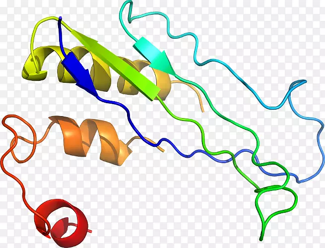 �ߵ������-��-������