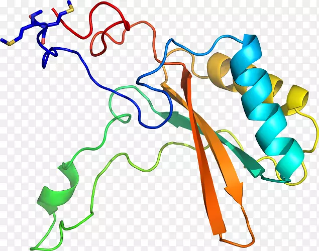 �ߵ������������-������