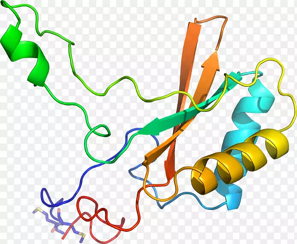 �ߵ������-��-������