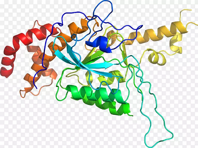 ���������л����߼�������-������