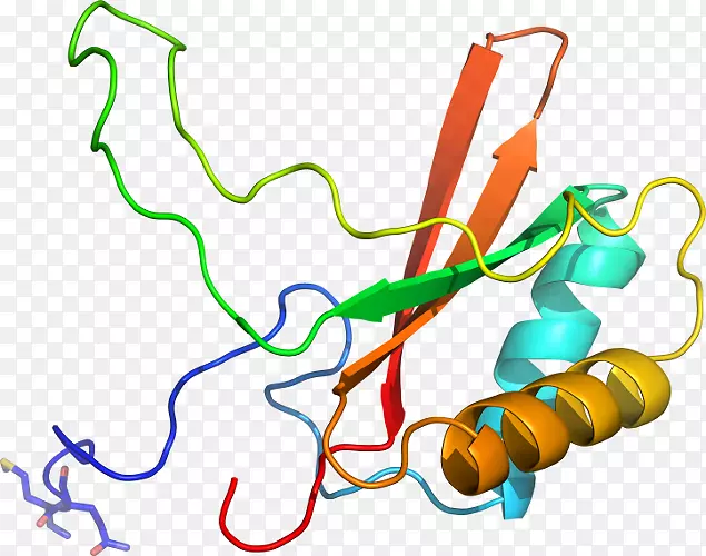 �ߵ������-��-������