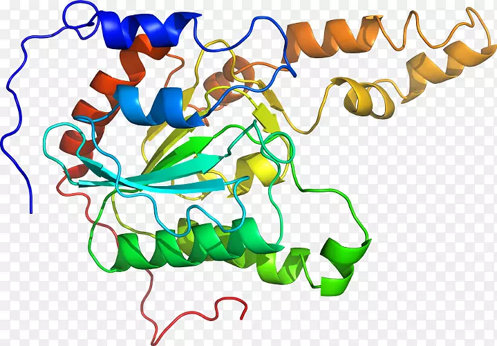 �ߵ������������-������