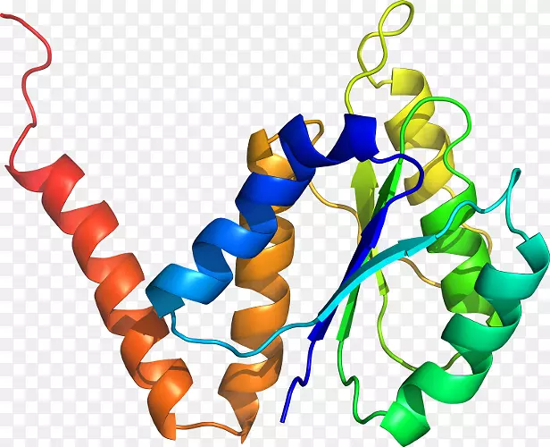 �����鱦�߼�������-������